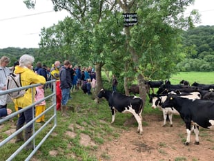 Local farms open the gates on Open Farm Sunday