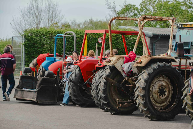 Discover Wonwell Court Farm this Sunday