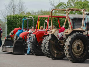 Discover Wonwell Court Farm this Sunday