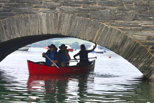 Nature Diary by Dave Halsall | A canoe tour with Singing Paddles