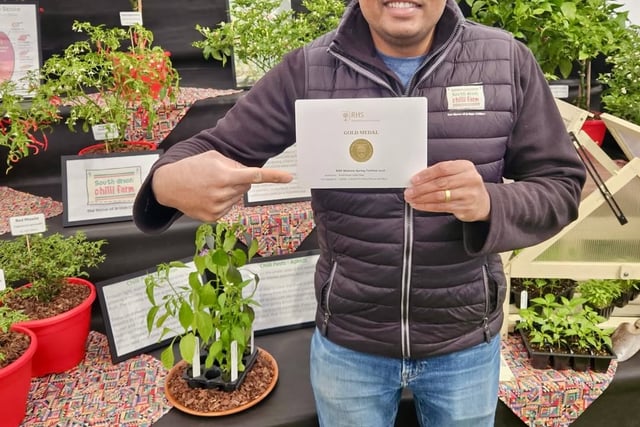 South Devon Chilli Farm wins third RHS Gold award