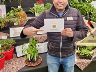 South Devon Chilli Farm wins third RHS Gold award