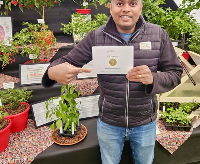 South Devon Chilli Farm wins third RHS Gold award