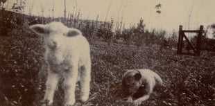 Photographs from Kingsbridge Cookworthy Museum