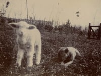 Photographs from Kingsbridge Cookworthy Museum