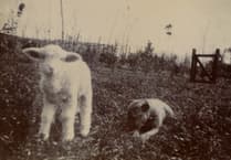 Photographs from Kingsbridge Cookworthy Museum