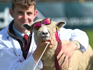 Things are hotting up at the Devon County Show