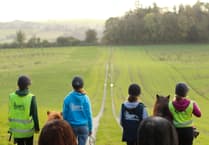 Meet the Horses at Sirona's Open Day