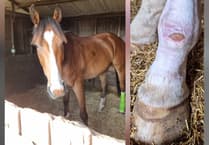 How light therapy healed Walter's wound