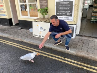 Roger the Seagull: Instagram and TV star