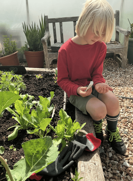 Blackawton pupils were recognised for their gardening prowess