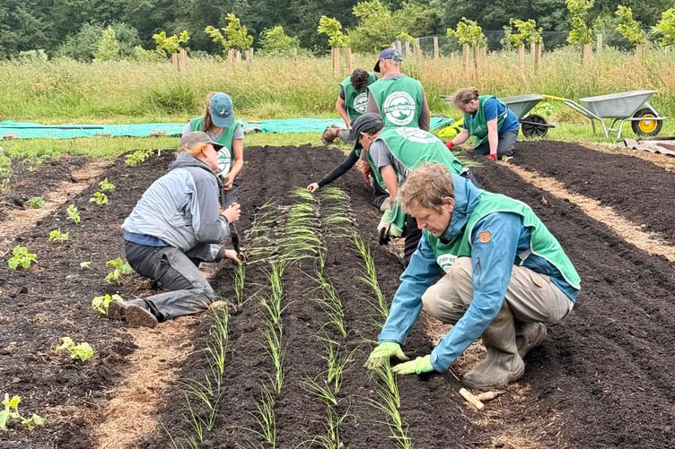 Force For Nature team members planting crops