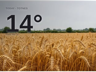 Totnes: cloudy day, high of 14°C