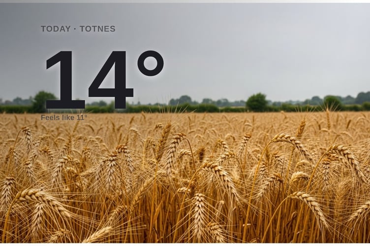 Totnes weather: cloudy Monday with rain expected and a high of 14°C