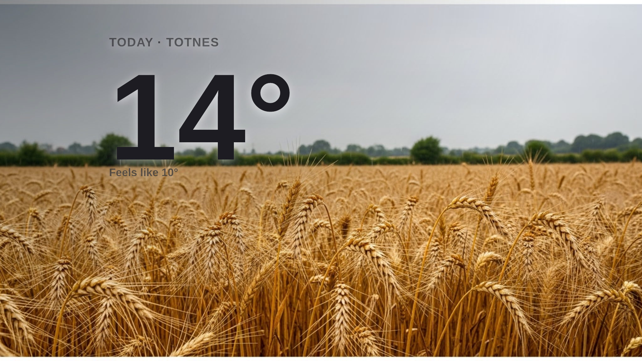 Rainy Sunday on the way for Totnes - here's your forecast