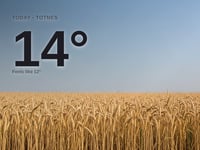 Totnes: sunny day, high of 14°C