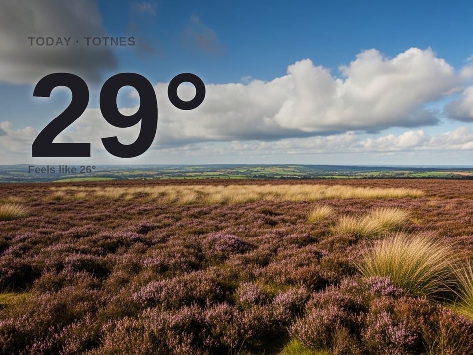 Totnes: partly cloudy, high of 29°C
