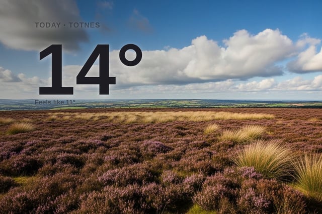 Totnes: partly cloudy, high of 14°C